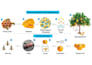 create scientific diagrams,  graphical abstracts, and posters